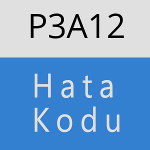 P3A12 hatasi