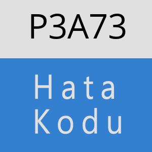 P3A73 hatasi