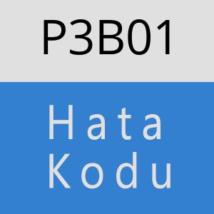 P3B01 hatasi