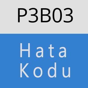 P3B03 hatasi