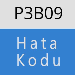 P3B09 hatasi