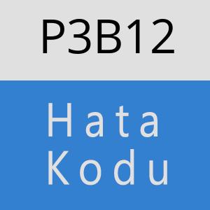 P3B12 hatasi