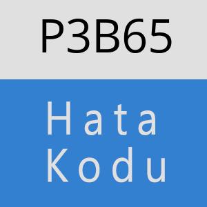 P3B65 hatasi