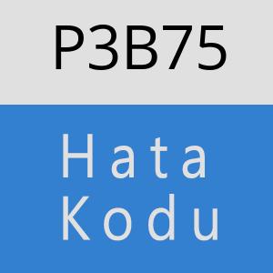 P3B75 hatasi