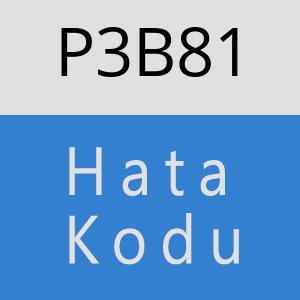 P3B81 hatasi