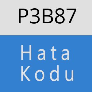 P3B87 hatasi