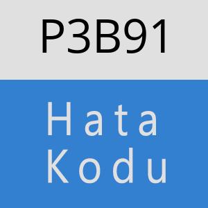 P3B91 hatasi