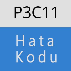 P3C11 hatasi