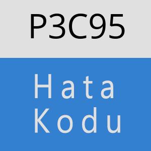 P3C95 hatasi