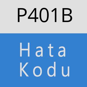 P401B hatasi