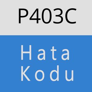 P403C hatasi