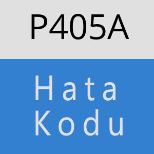 P405A hatasi