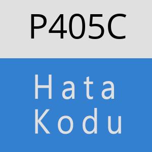 P405C hatasi