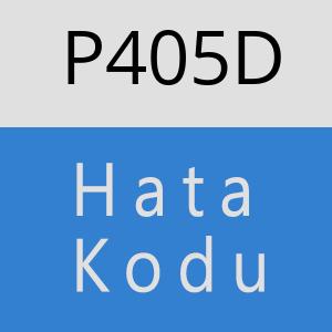 P405D hatasi