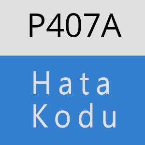 P407A hatasi