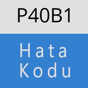 P40B1 hatasi