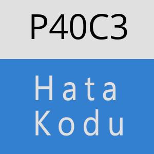 P40C3 hatasi