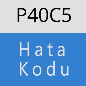 P40C5 hatasi