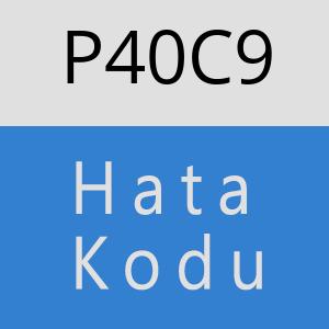 P40C9 hatasi