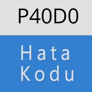 P40D0 hatasi