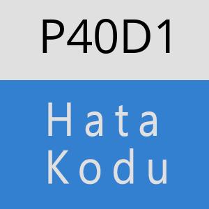 P40D1 hatasi