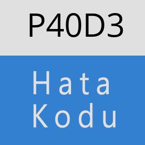 P40D3 hatasi