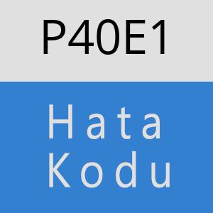 P40E1 hatasi