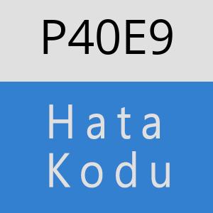 P40E9 hatasi