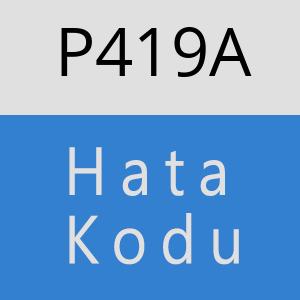 P419A hatasi