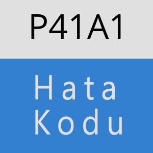 P41A1 hatasi