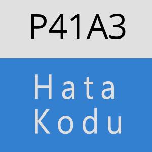 P41A3 hatasi