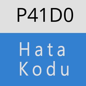 P41D0 hatasi