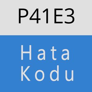 P41E3 hatasi