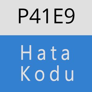 P41E9 hatasi