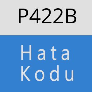 P422B hatasi