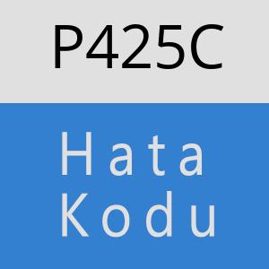 P425C hatasi