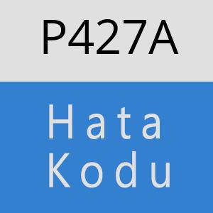 P427A hatasi