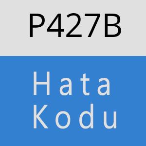 P427B hatasi