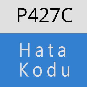 P427C hatasi