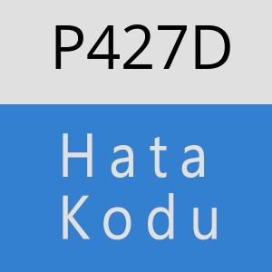 P427D hatasi