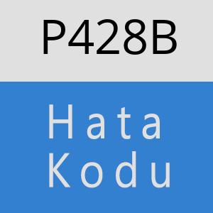 P428B hatasi