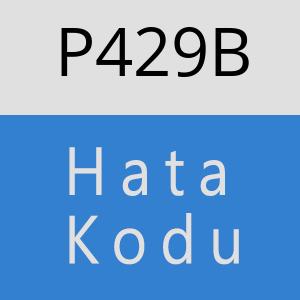 P429B hatasi