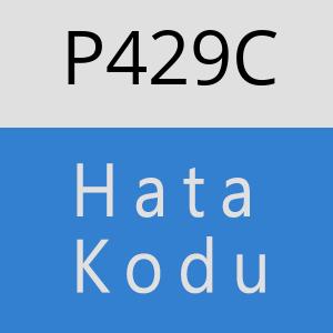 P429C hatasi