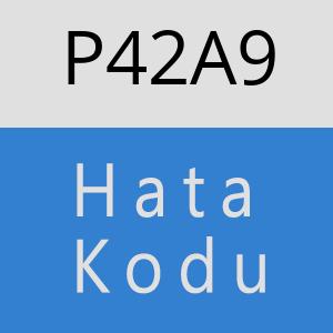 P42A9 hatasi