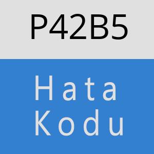 P42B5 hatasi