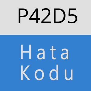 P42D5 hatasi