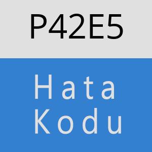 P42E5 hatasi