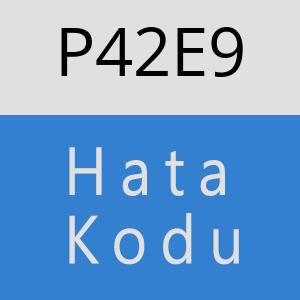 P42E9 hatasi