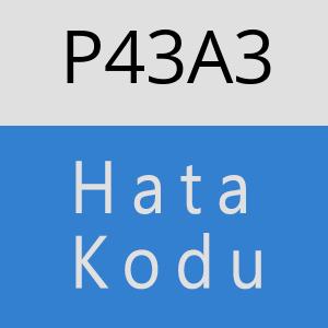 P43A3 hatasi