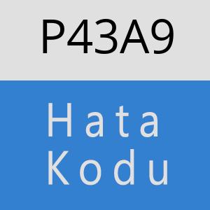 P43A9 hatasi